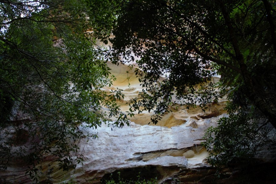 Ferntree Gully
